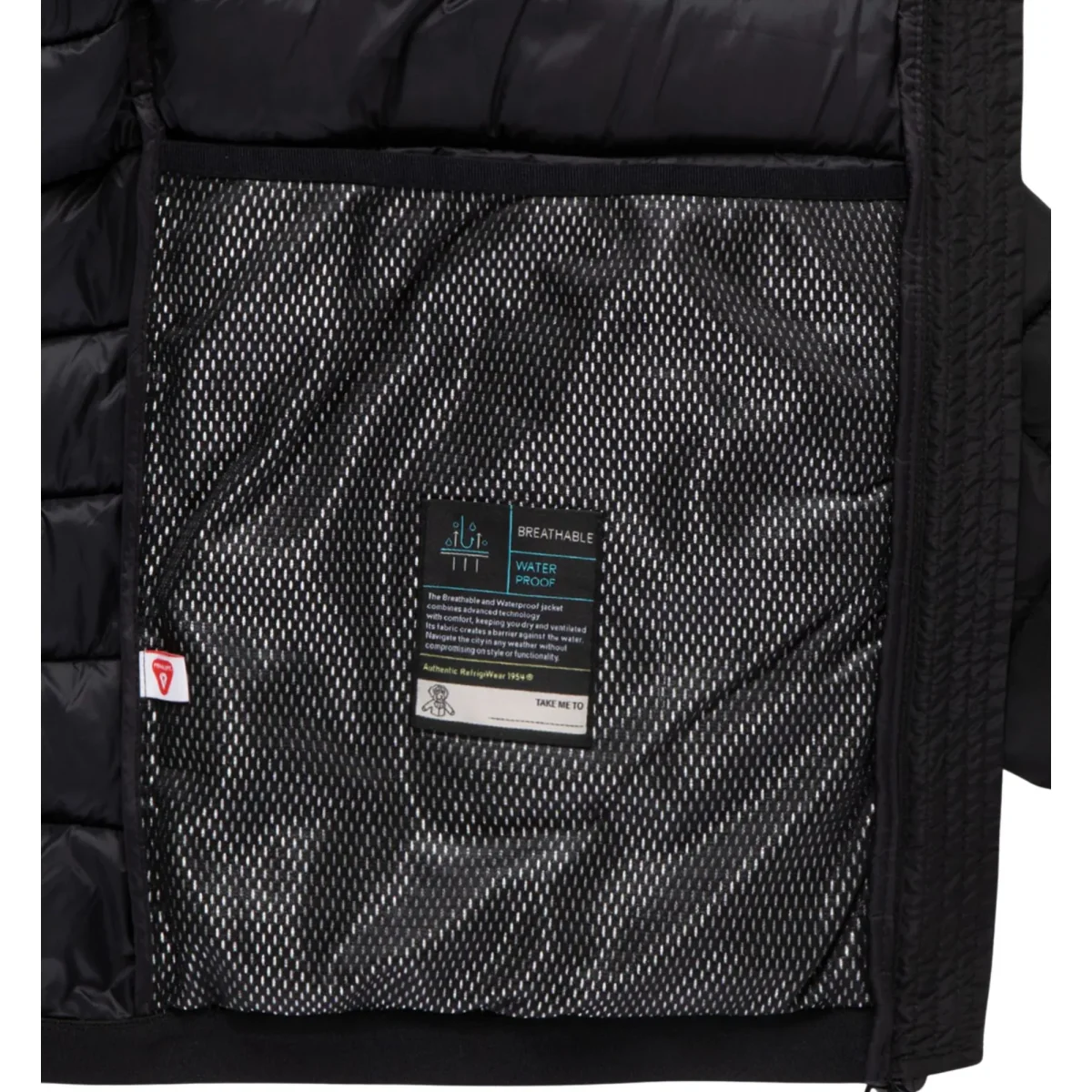 Uomo Piumino corto JOSH JACKET - immagine 5