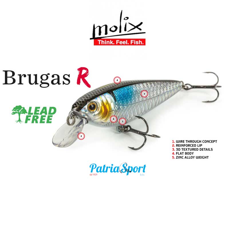 Molix Brugas R - immagine 2