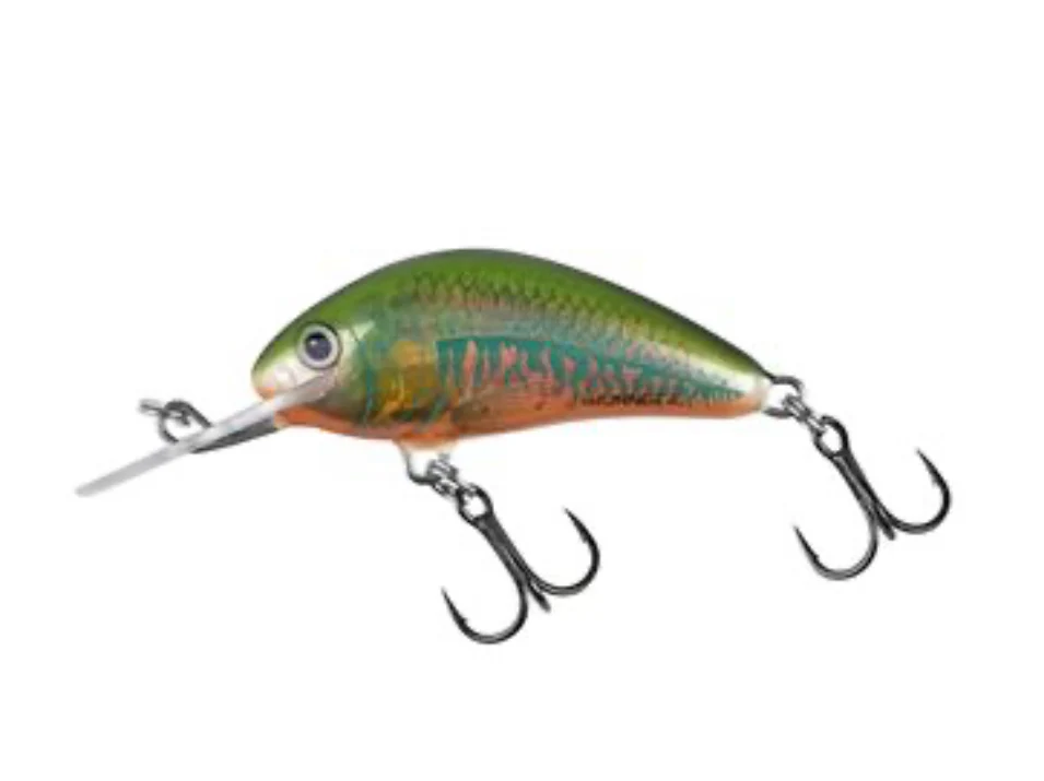 Salmo Hornet 4 Sinking 4CM-4G - immagine 2
