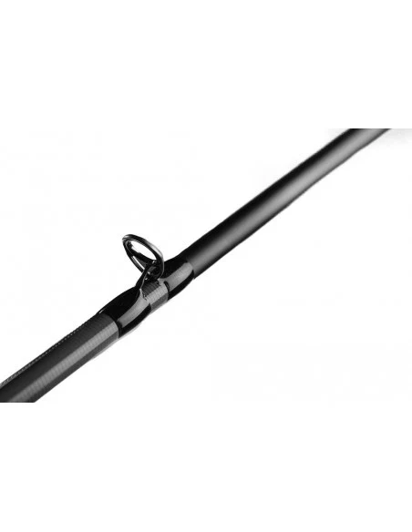 Favorite Alligator - immagine 4