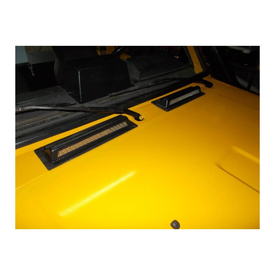 Prese Aria Toyota Land Cruiser 70 - immagine 2