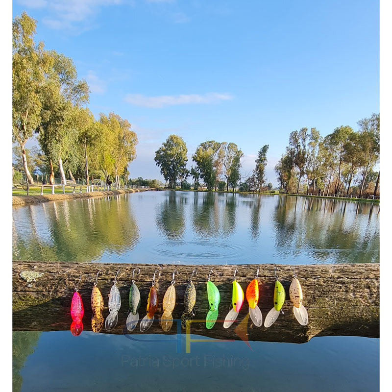 Herakles Aleca SP Cranck Bait - immagine 4